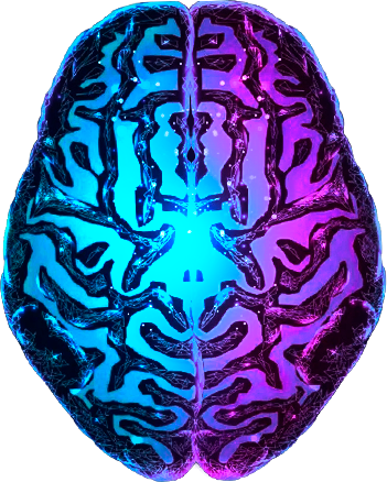 Creative brain illustration representing creativity in web development and design